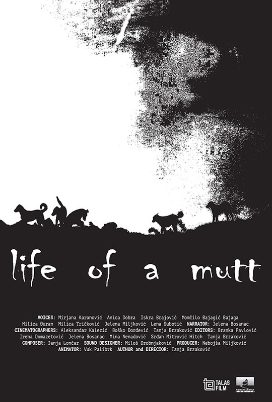 Life of a mutt
